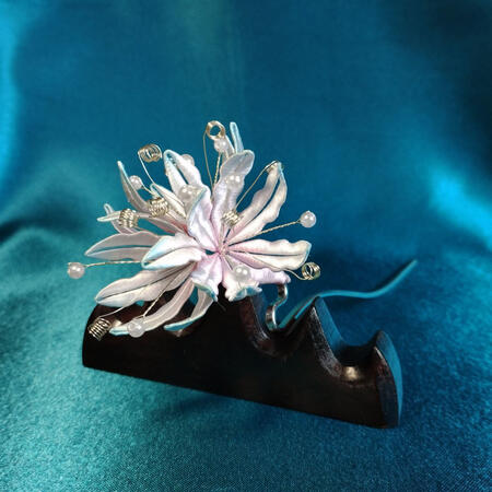 Lycoris radiata